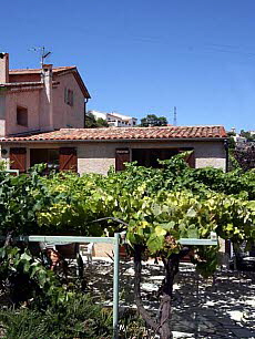 Ferienhaus Chez Papito