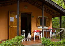 Urlaub mit Hund in Frankreich