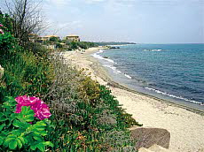 Ferienanlage Sognu di Mare Ferienanlage Sognu di Mare
