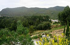 Belgodère