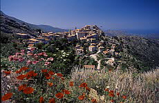 Belgodère