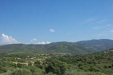 Belgodère