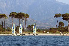 Calvi