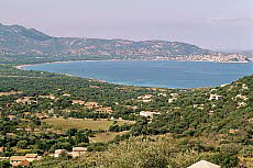 Calvi