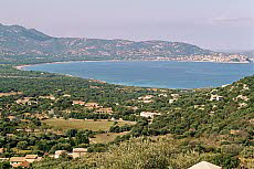 Calvi