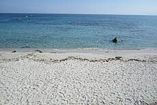 Ile Rousse