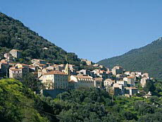 Olmeto