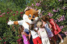 Ferienanlage Les Ayguades Ferienanlage Les Ayguades