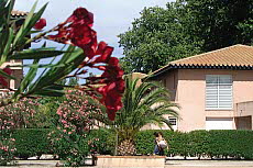 Pierres Jade, Ferienanlage, Ferienhaus, Ferienwohnung, Languedoc, Südküste, Süd-Frankreich, alpimar