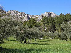 Rsidence Le Domaine de Bourgeac