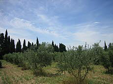 Résidence Le Mas des Arènes Résidence Le Mas des Arènes