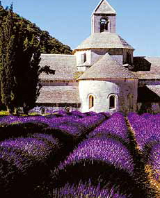 Provence